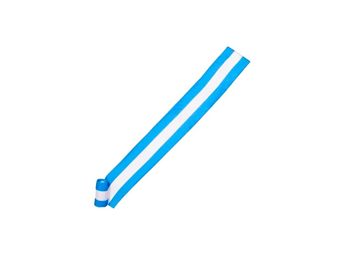 BANDERA MILENIO C 2503 TAHALI CUERO FORRA C/CUJA