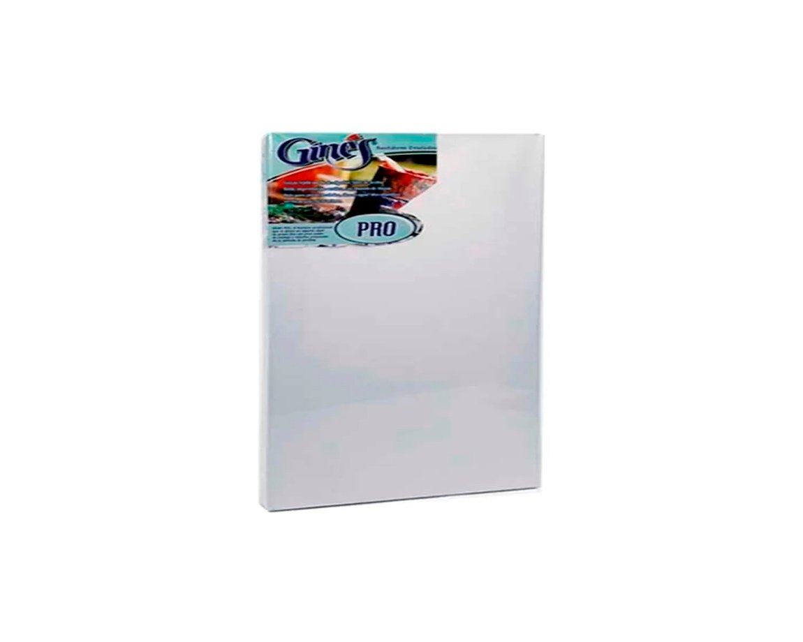 BASTIDOR GINES PRO ENTELADO 35x50