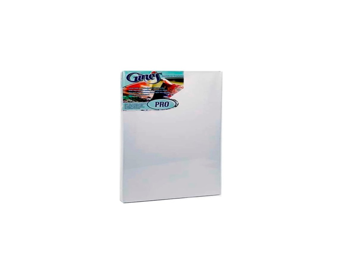BASTIDOR GINES PRO ENTELADO 40x50