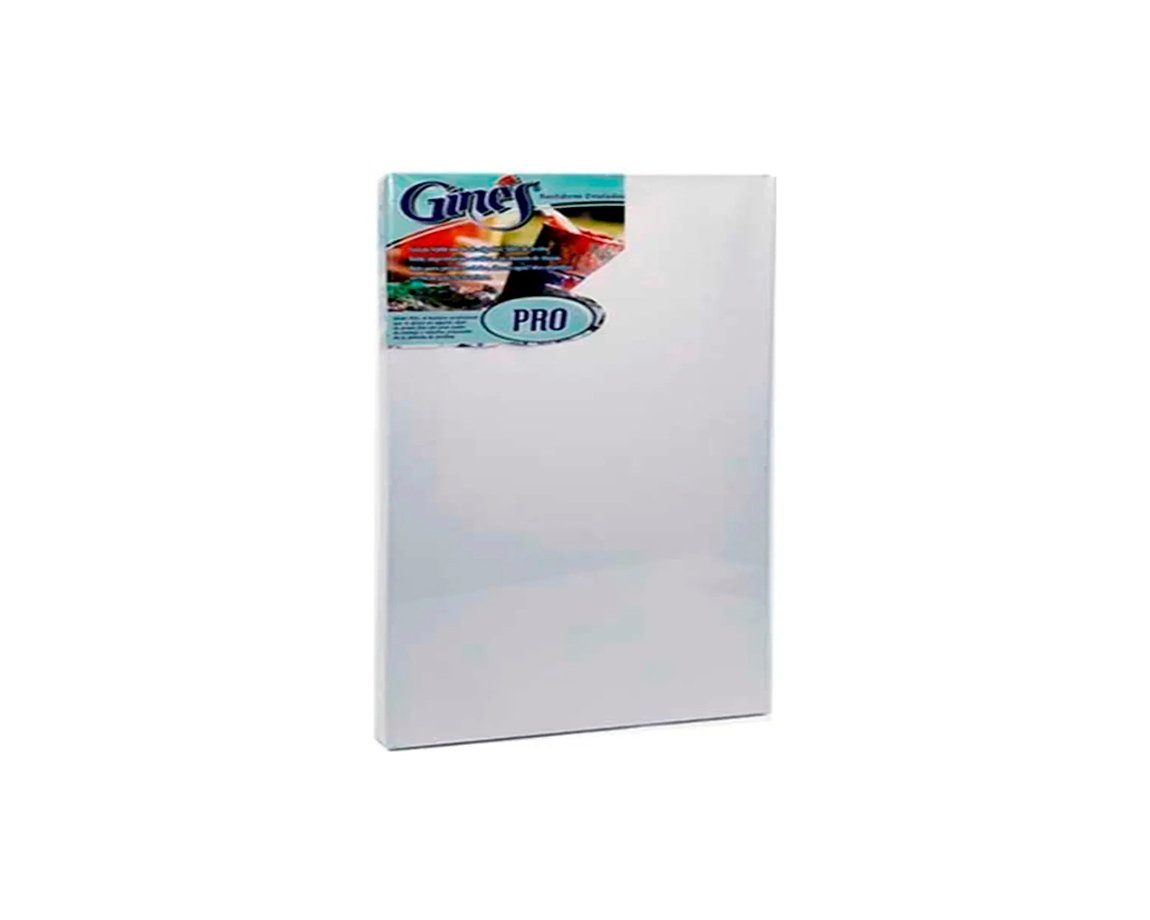 BASTIDOR GINES PRO ENTELADO 50x60