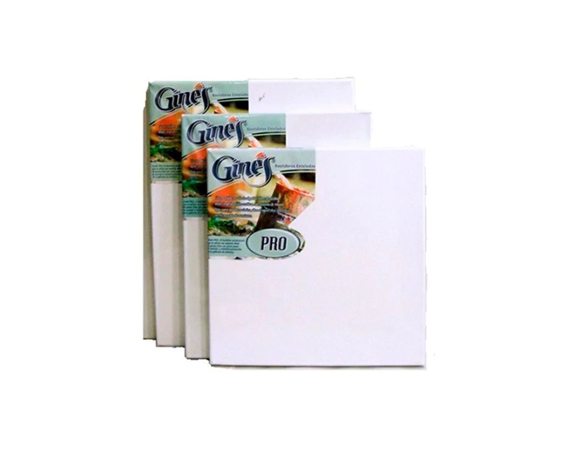 BASTIDOR GINES PRO ENTELADO 27x35