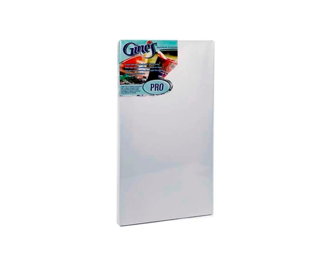 BASTIDOR GINES PRO ENTELADO 35x45
