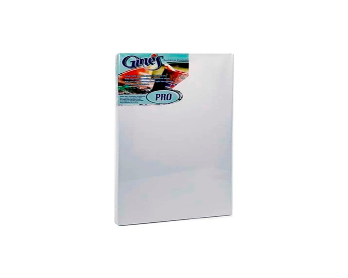 BASTIDOR GINES PRO ENTELADO 45x60