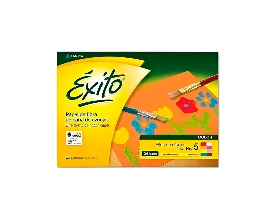 BLOCK EXITO COLOR Nro 5 P/DIBUJO 24 H. L