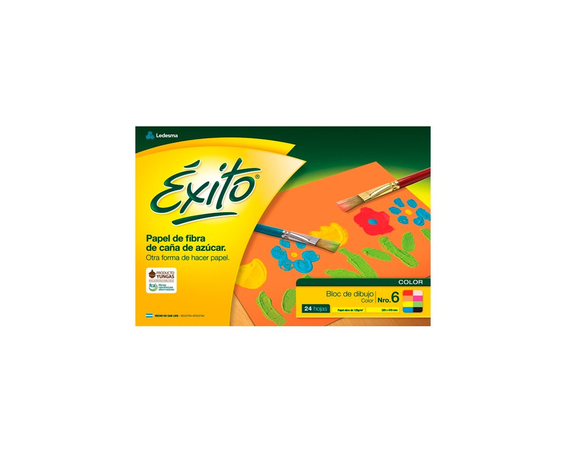 BLOCK EXITO COLOR Nro 6 P/DIBUJO 24 H. L