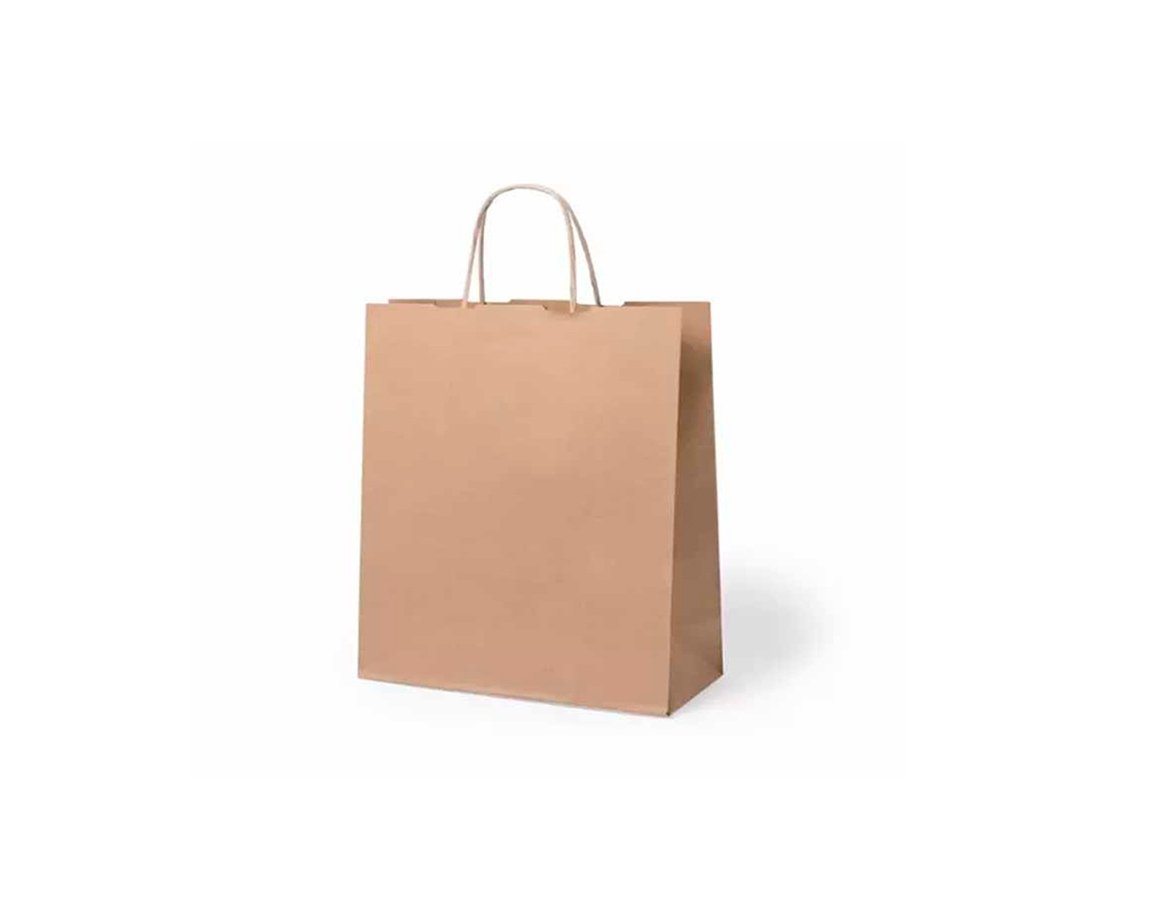 BOLSA GP KRAFT KP5 300x110x410 GR NATURAL 125 G.