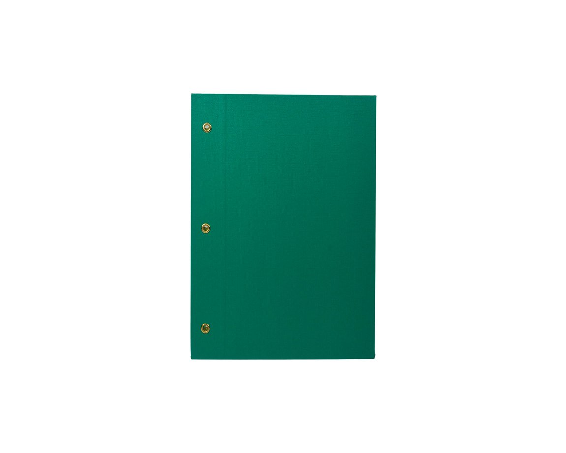 CARPETA LAMA Nº3 2 TAPAS VERDE