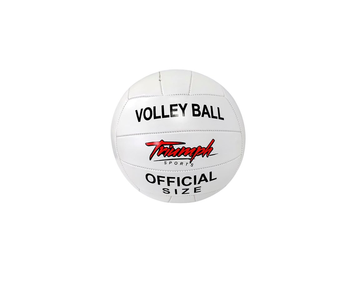 JUGUETE PELOTA 100-PU-V Nº 5 VOLEY