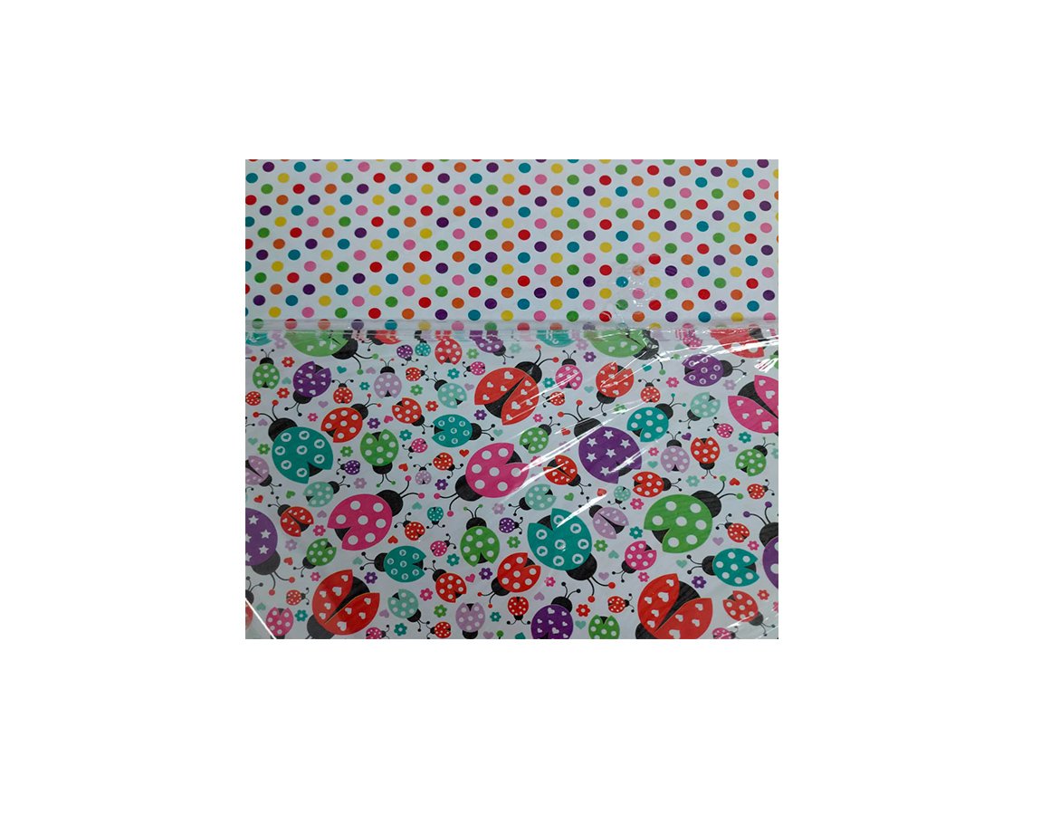 PAPEL CARTULINA PEQUE 58 MARIQUITAS 50x70