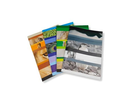 CARPETA LAMA OFFICE PP10AC B/OPACA A4 ROJO